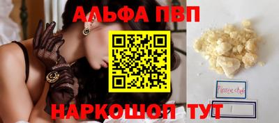 стаф Шелехов