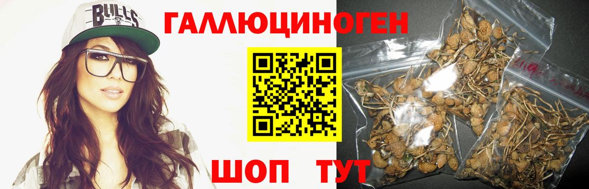 Псилоцибиновые грибы Magic Shrooms Асино