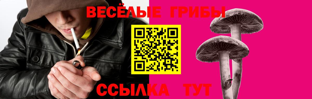 купить   Галлюциногенные грибы прущие грибы  Вход с VPN  Псилоцибиновые грибы Psilocybine cubensis  Асино 